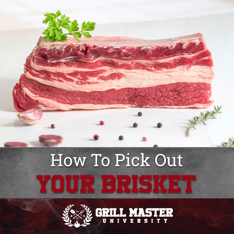 How to pick out your brisket